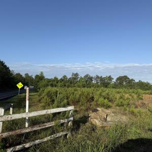 Photo #2 of 7 Acres Old Pee Dee Rd., Hemingway, SC 7.0 acres