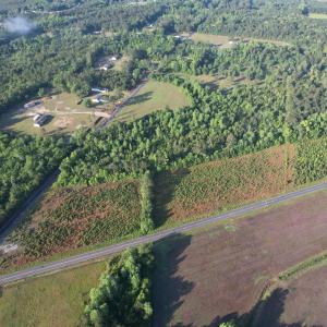 Photo #7 of 7 Acres Old Pee Dee Rd., Hemingway, SC 7.0 acres