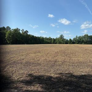 View of woods with a view of rural / pastoral area
