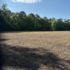 View of yard featuring a forest view and a rural v