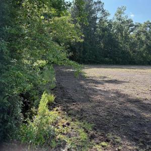 View of yard featuring a wooded view