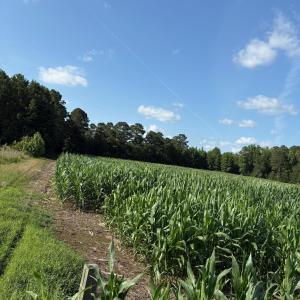 View of undeveloped land with rural landscape and