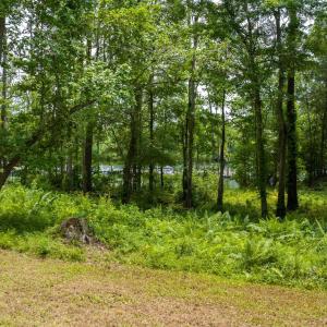Photo #7 of 168 Harbor Oaks Dr., Myrtle Beach, SC 0.2 acres