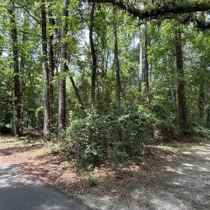 View of wooded area