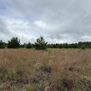 Photo #3 of Macedonia Dr., Loris, SC 42.7 acres