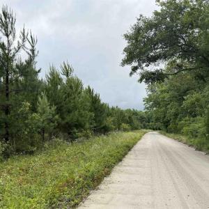 Photo #5 of Macedonia Dr., Loris, SC 42.7 acres