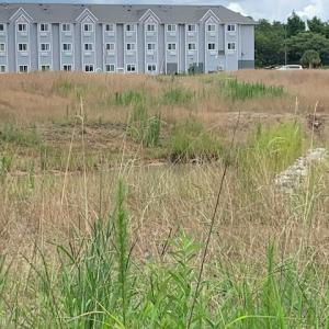 Photo #16 of 98 Wildwood St., Shallotte, NC 4.5 acres