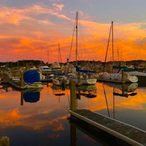 Photo #22 of 98 Wildwood St., Shallotte, NC 4.5 acres