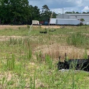 Photo #4 of 98 Wildwood St., Shallotte, NC 4.5 acres