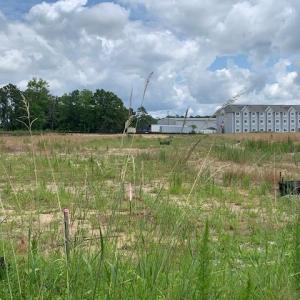 Photo #3 of 98 Wildwood St., Shallotte, NC 4.5 acres