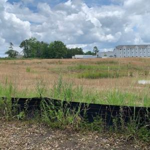Photo #18 of 98 Wildwood St., Shallotte, NC 4.5 acres