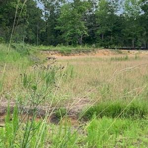 Photo #5 of 98 Wildwood St., Shallotte, NC 4.5 acres