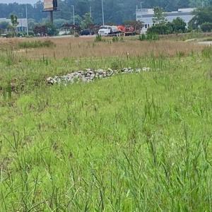 Photo #8 of 98 Wildwood St., Shallotte, NC 4.5 acres