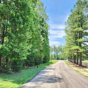Photo #6 of 2950 Avant Ln., Conway, SC 1.6 acres