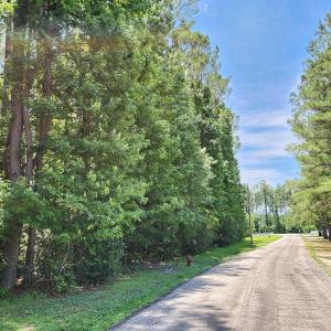 Photo #5 of 2950 Avant Ln., Conway, SC 1.6 acres