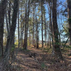 Photo #10 of 1000 Maccoa Dr., Conway, SC 0.4 acres