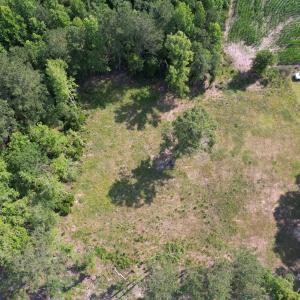 Photo #3 of TBD Samuels Ave, Salters, SC 2.0 acres
