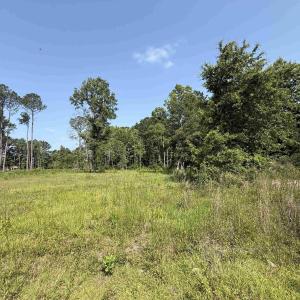 Photo #8 of TBD Samuels Ave, Salters, SC 2.0 acres