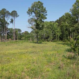 Photo #1 of TBD Samuels Ave, Salters, SC 2.0 acres