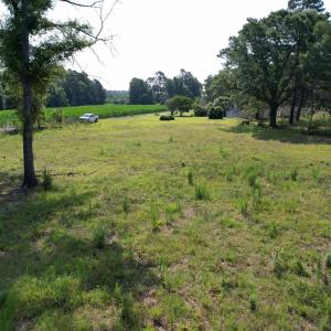 Photo #2 of TBD Samuels Ave, Salters, SC 2.0 acres
