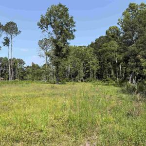 Photo #6 of TBD Samuels Ave, Salters, SC 2.0 acres