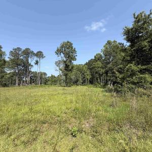 Photo #7 of TBD Samuels Ave, Salters, SC 2.0 acres
