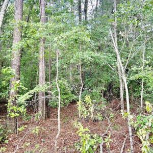 Photo #8 of FC Cox Rd., Hemingway, SC 116.0 acres