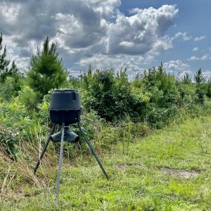 Photo #16 of FC Cox Rd., Hemingway, SC 116.0 acres