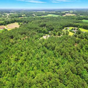 Photo #5 of TBD Little Bethel Rd., Green Sea, SC 14.0 acres