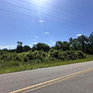 Photo #20 of TBD Pint Circle, Longs, SC 23.9 acres