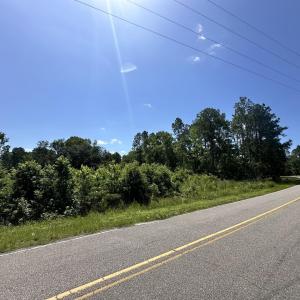 Photo #16 of TBD Pint Circle, Longs, SC 23.9 acres