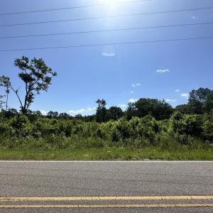 Photo #18 of TBD Pint Circle, Longs, SC 18.9 acres