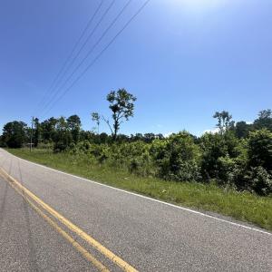 Photo #17 of TBD Pint Circle, Longs, SC 18.9 acres