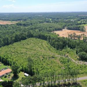 Photo #10 of TBD Pint Circle, Longs, SC 18.9 acres