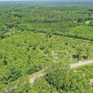Photo #8 of TBD Pint Circle, Longs, SC 18.9 acres