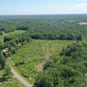 Photo #12 of TBD Pint Circle, Longs, SC 18.9 acres