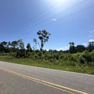 Photo #19 of TBD Pint Circle, Longs, SC 18.9 acres