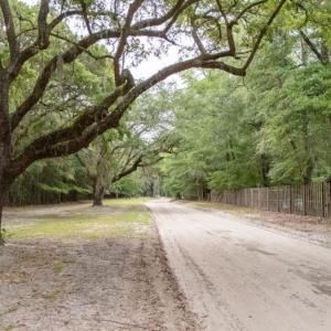 View of dirt / gravel road featuring a forest view