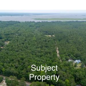 Aerial view of a forest