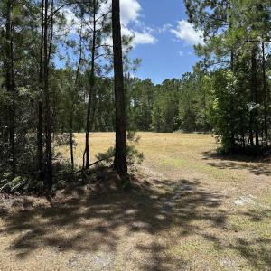 Photo #4 of 218 Samworth Loop, Georgetown, SC 5.1 acres