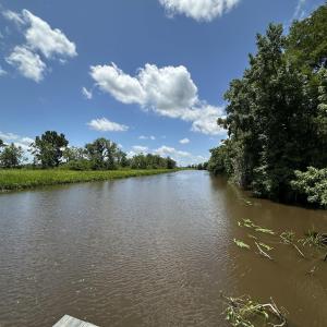 Photo #15 of 218 Samworth Loop, Georgetown, SC 5.1 acres