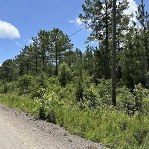 Photo #9 of 218 Samworth Loop, Georgetown, SC 5.1 acres