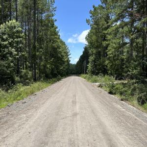 Photo #11 of 218 Samworth Loop, Georgetown, SC 5.1 acres