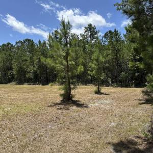 Photo #5 of 218 Samworth Loop, Georgetown, SC 5.1 acres