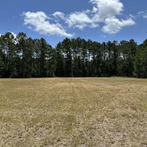Photo #6 of 218 Samworth Loop, Georgetown, SC 5.1 acres