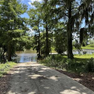 Photo #13 of 218 Samworth Loop, Georgetown, SC 5.1 acres