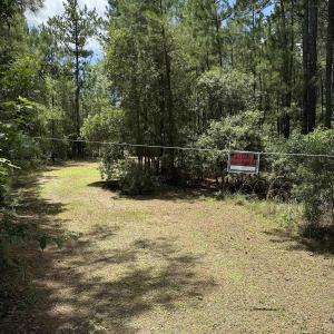 Photo #8 of 218 Samworth Loop, Georgetown, SC 5.1 acres