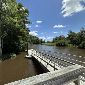 Photo #14 of 218 Samworth Loop, Georgetown, SC 5.1 acres