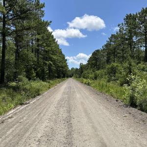 Photo #10 of 218 Samworth Loop, Georgetown, SC 5.1 acres