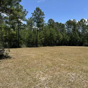 Photo #7 of 218 Samworth Loop, Georgetown, SC 5.1 acres